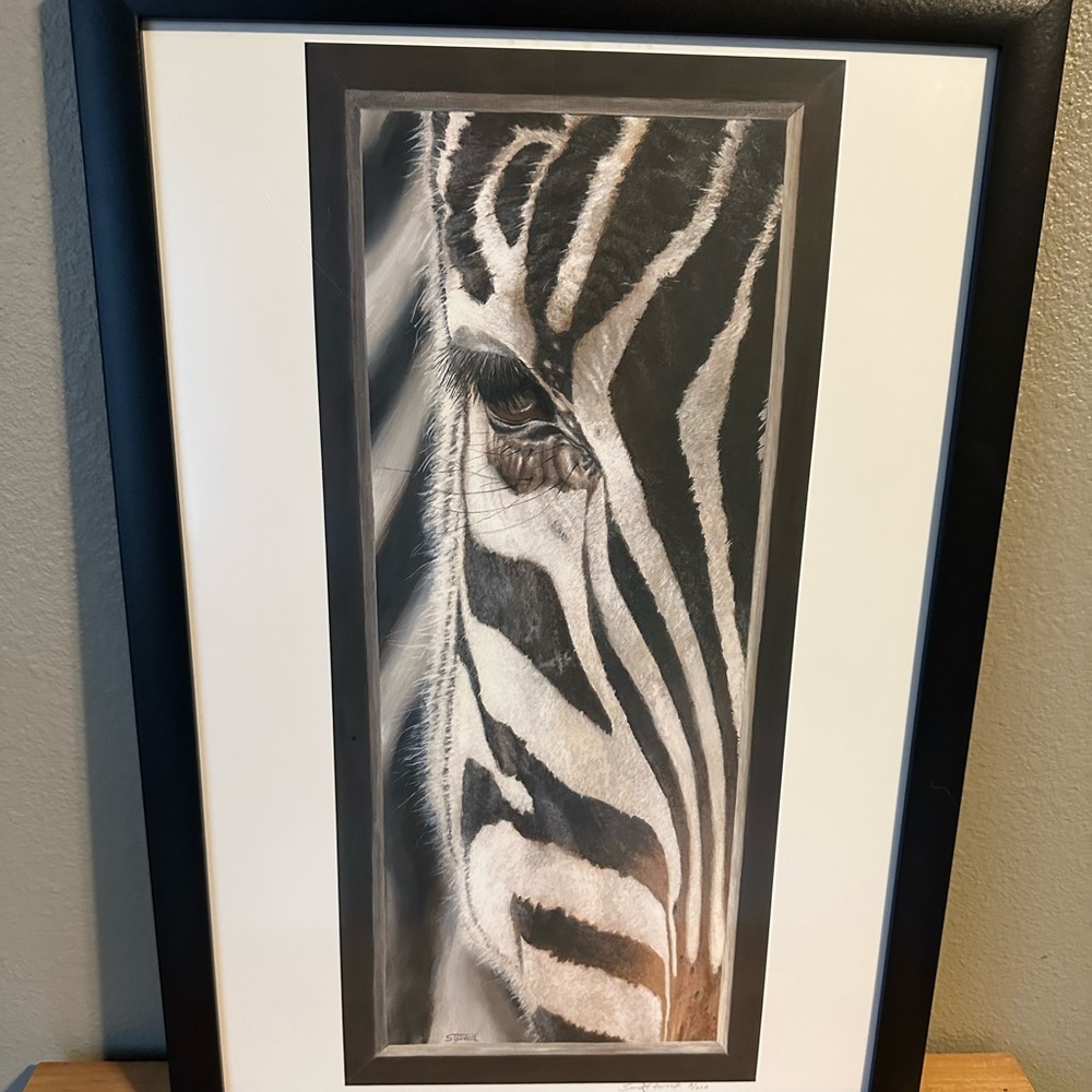 Zibra framed with white matte